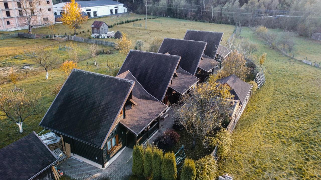 Pensiunea Galileo Borşa Buitenkant foto