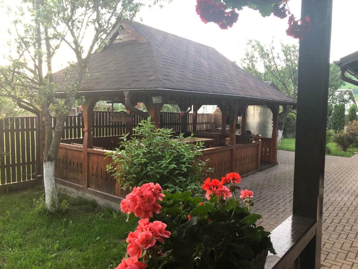 Pensiunea Galileo Borşa Buitenkant foto